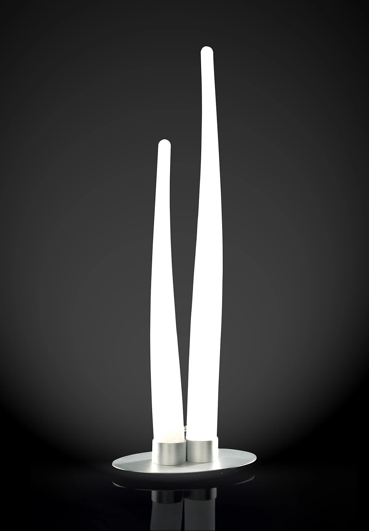 MT02WLM061NC